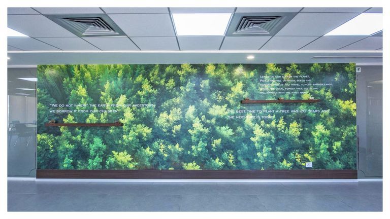 GREENERY & STORY OF CELLCOMM 