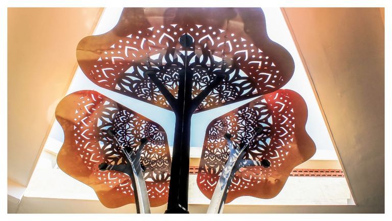 MEMORIES ETCHED IN CHILDHOOD | JSW SCHOOL, TORANAGALLU, KARNATAKA