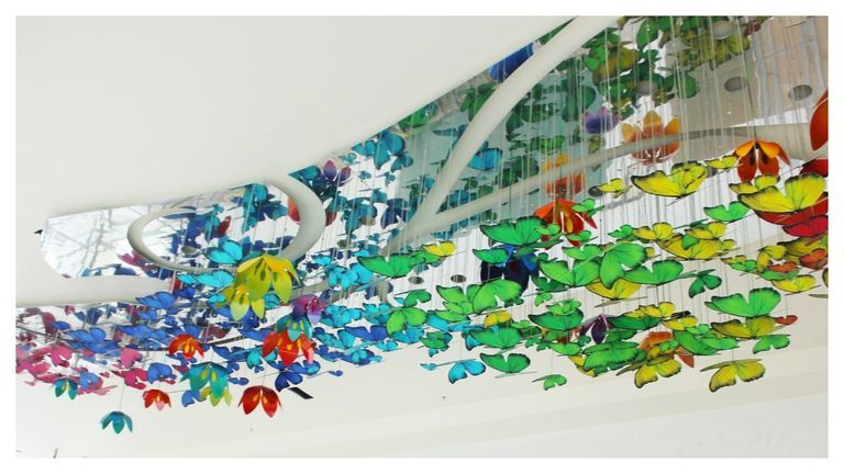 THE LOTUS POND | MANIPAL DWARKA, DELHI