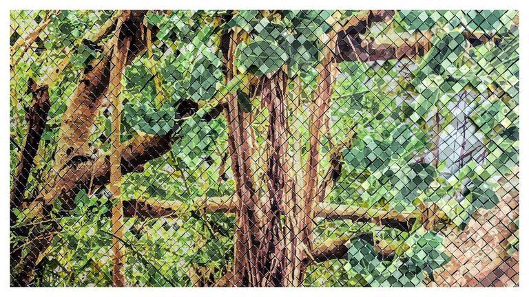 ROOTS OF TIME | TAJ AT BIAL, BANGALORE