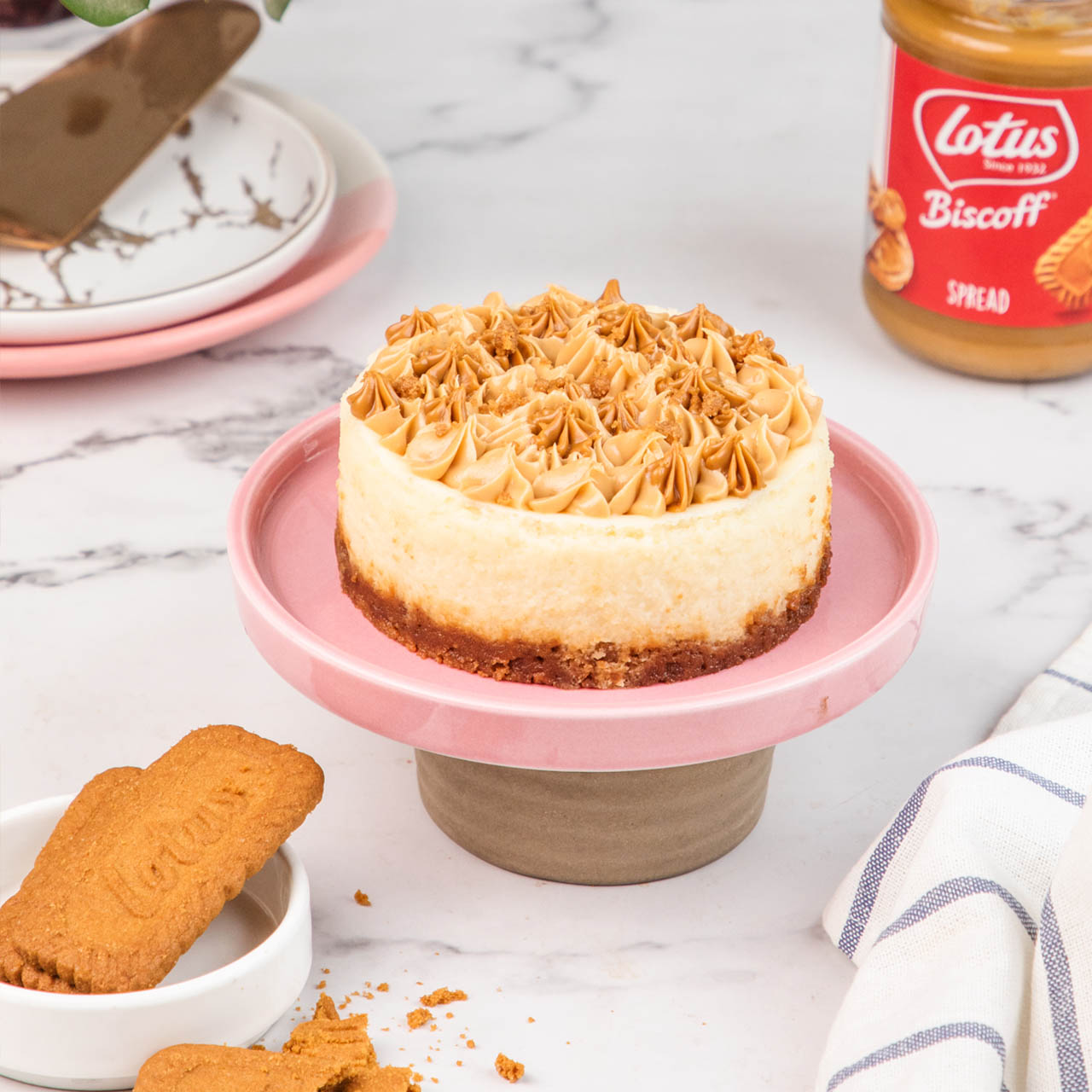 Buy Mini Biscoff Cheesecake Eggless at Happy Belly Bakes