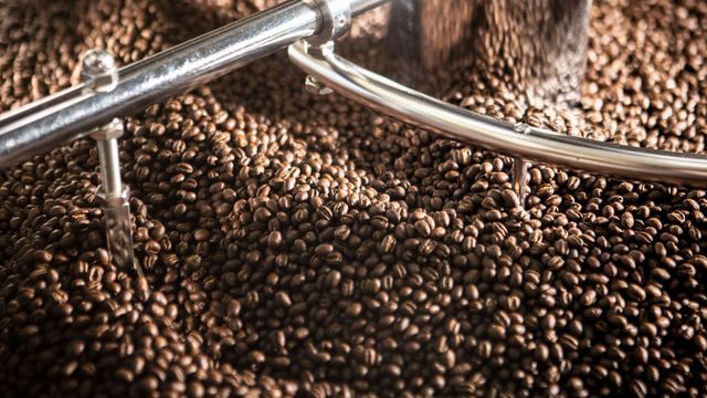 Peaberry - Blog Cover