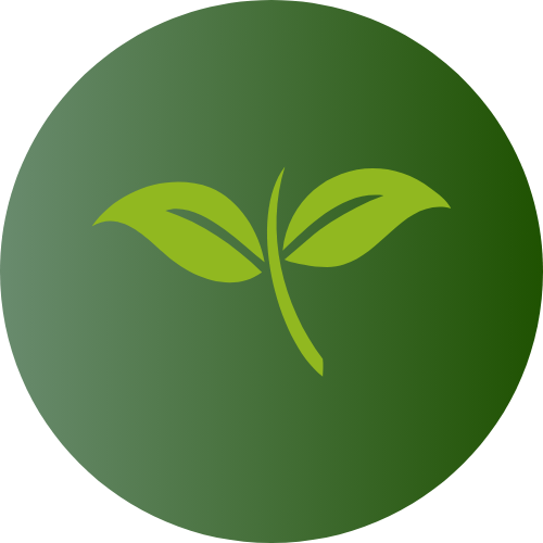 Health Optimization