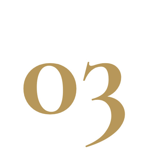03.png