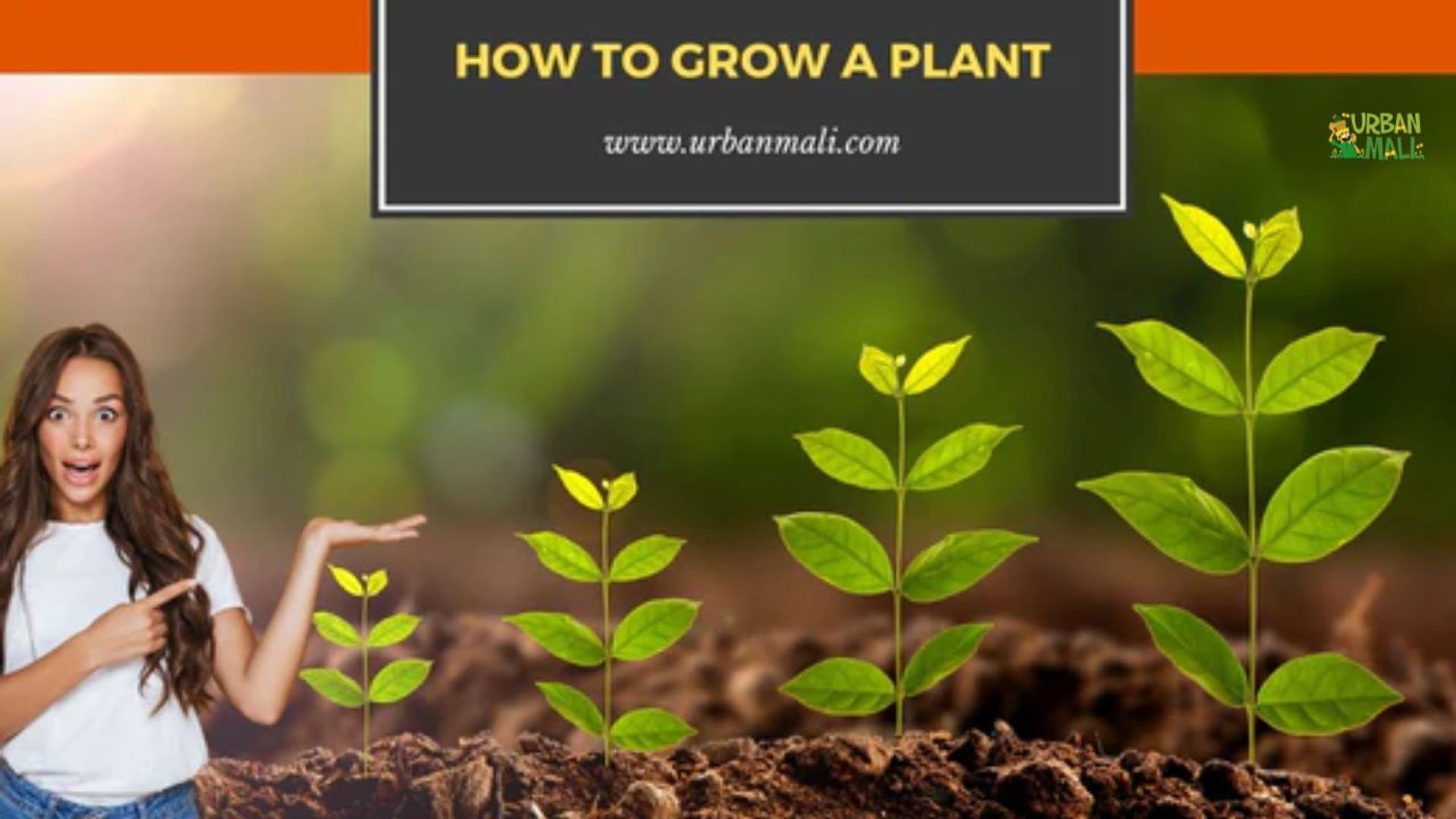 debest plants David's Dependable Desert Plant Collection main image 1