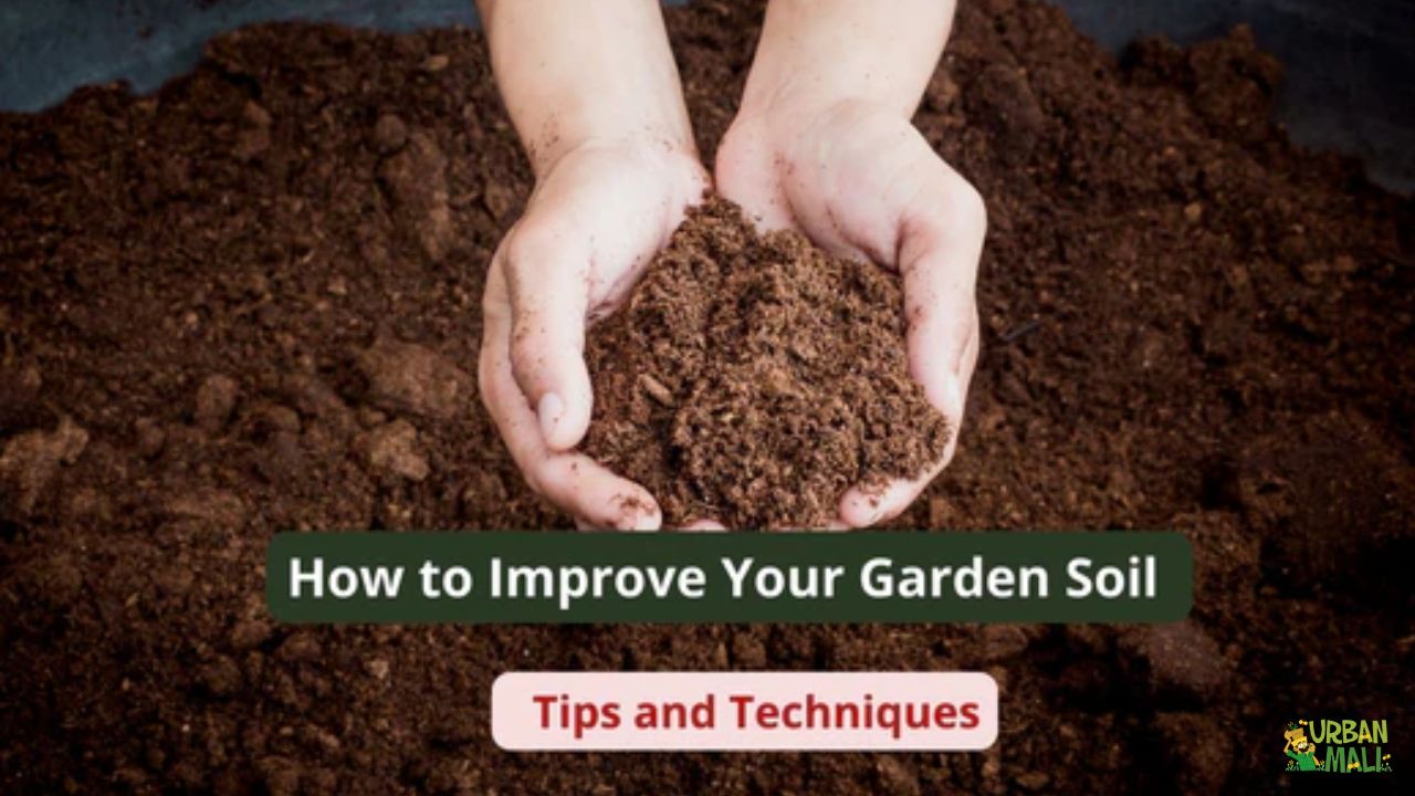 Soil Amendment Techniques: Boost Growth with Proven Methods
