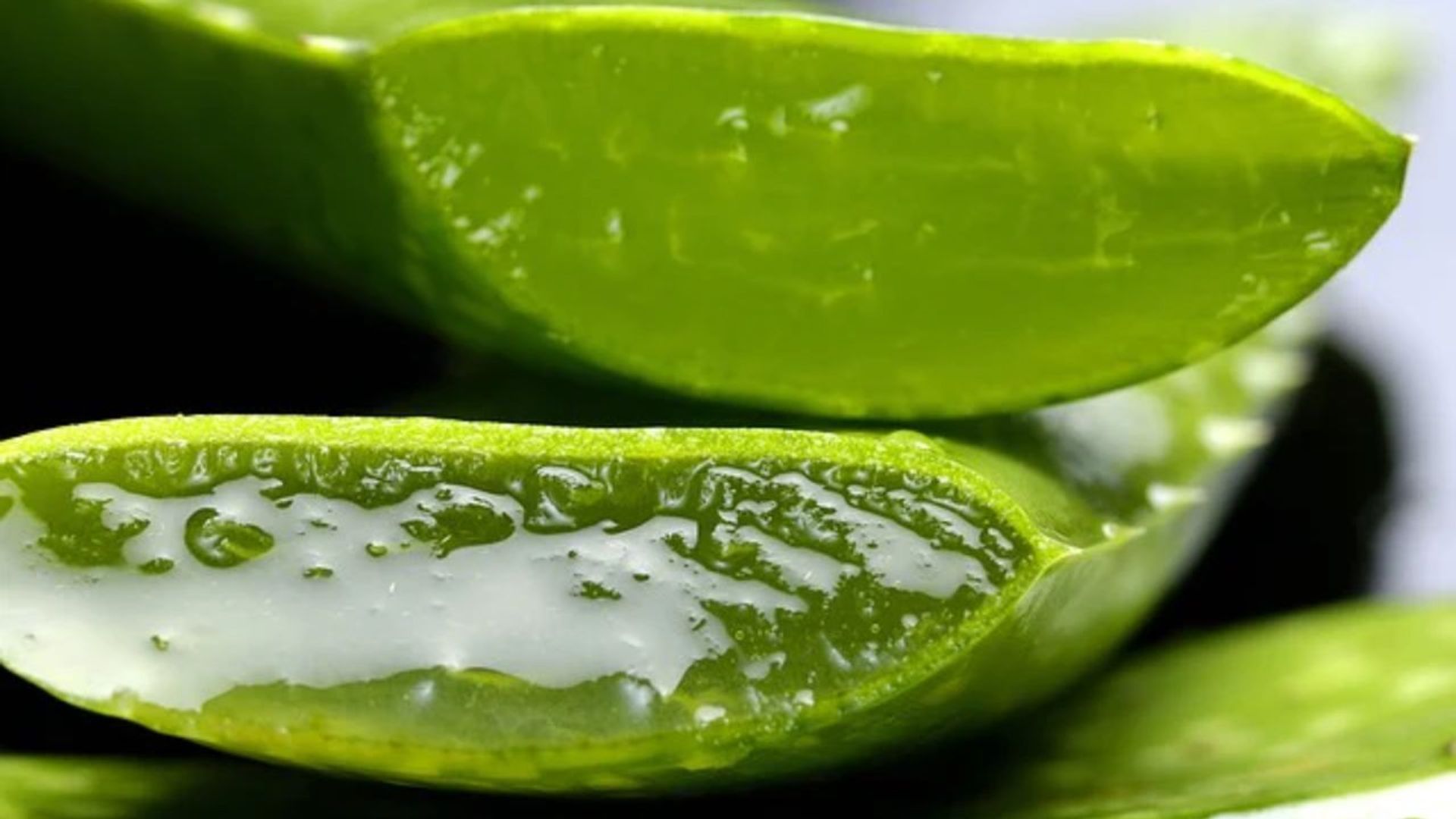 List of Aloe Vera Benefits