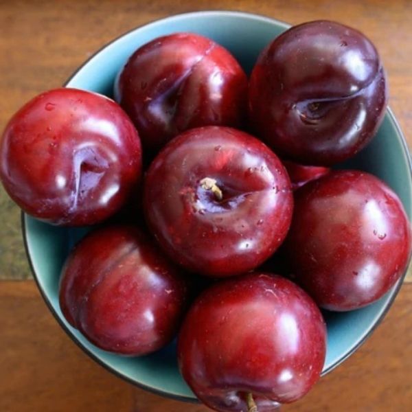 果物 HIROMI Hiromi Red Plum - A Fruit of Exquisite Flavor and Beauty