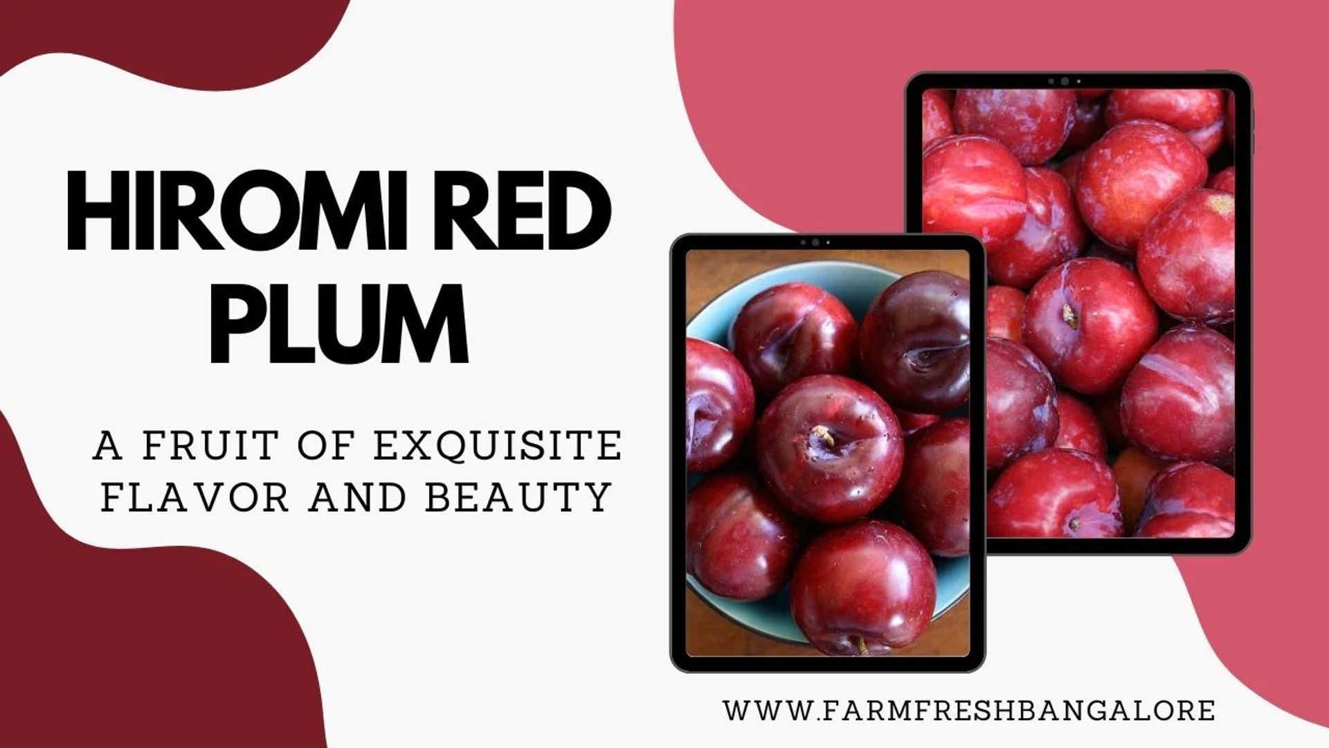Hiromi Red Plum - A Fruit of Exquisite Flavor and Beauty
