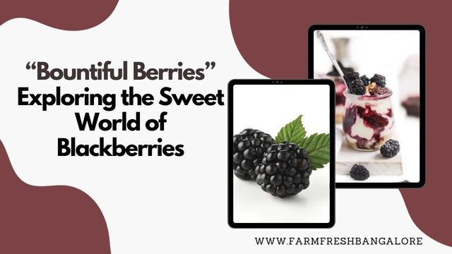 Bountiful Berries - Exploring the Sweet World of Blackberries