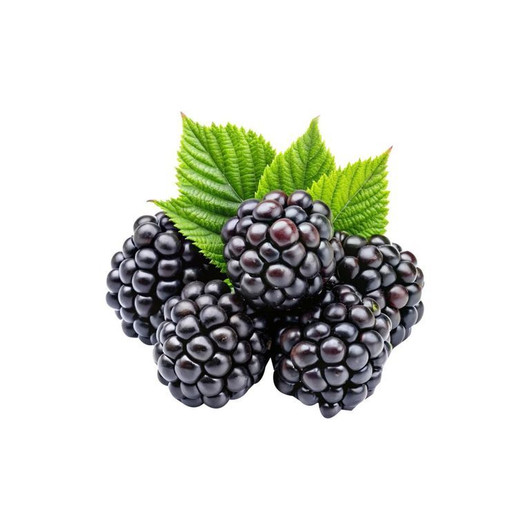 Blackberries