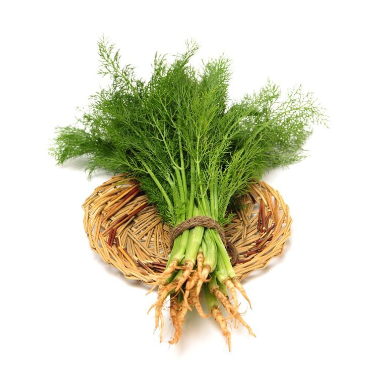 Sabbasige | Dill Leaves - 1 Bunch