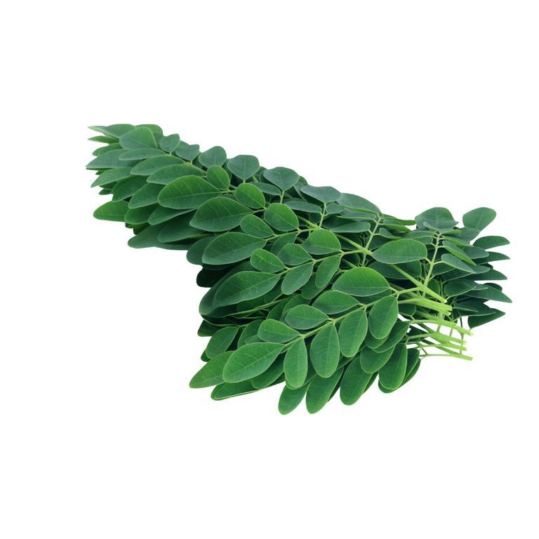 Drumstick Leaves 1 Bunch