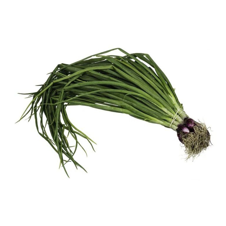 Spring Onion 1 Bunch