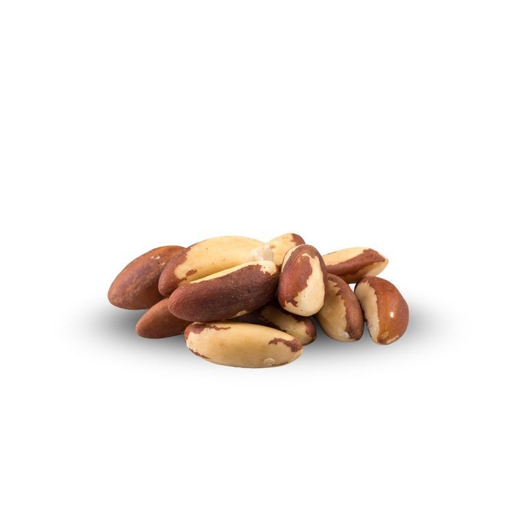 Brazil Nut