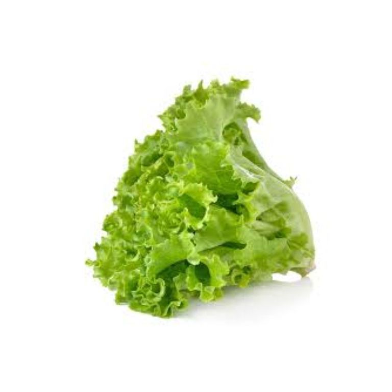 Green Lettuce