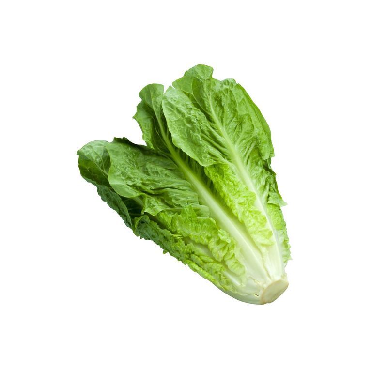 Romaine Lettuce